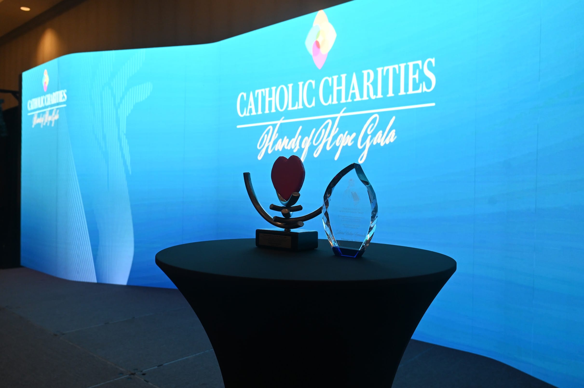 Awards displayed at the 2026 Hands of Hope Gala
